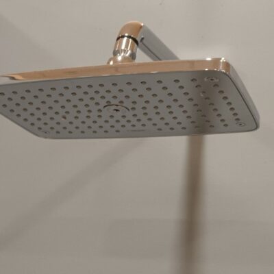 HANSGROHE - Raindance E